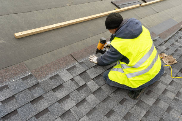 Best Roof Leak Repair  in South Monroe, MI