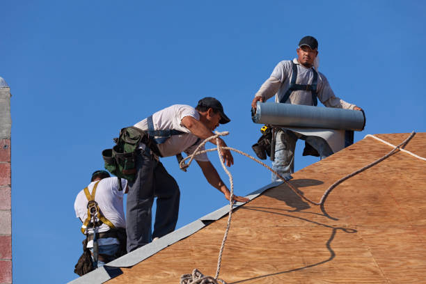 Best Commercial Roofing Services  in South Monroe, MI