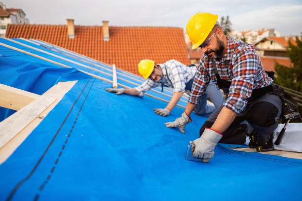 Best Slate Roofing Contractor  in South Monroe, MI