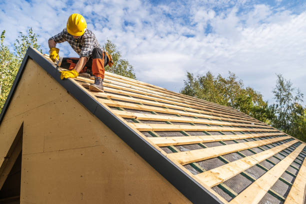 Best Roof Waterproofing Services  in South Monroe, MI