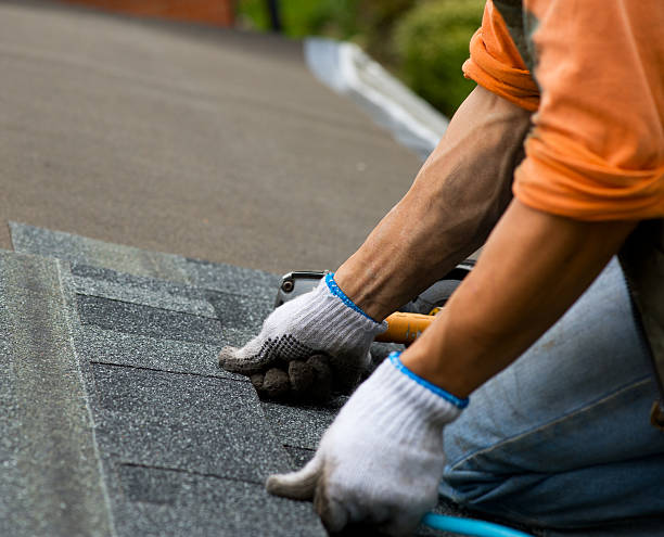 Best Roof Inspection Near Me  in South Monroe, MI