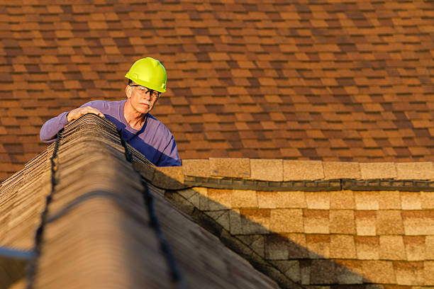 Best Roof Gutter Cleaning  in South Monroe, MI