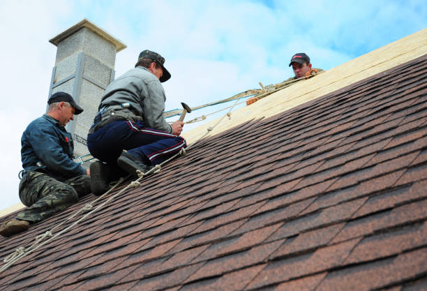 Best Roof Inspection Near Me  in South Monroe, MI