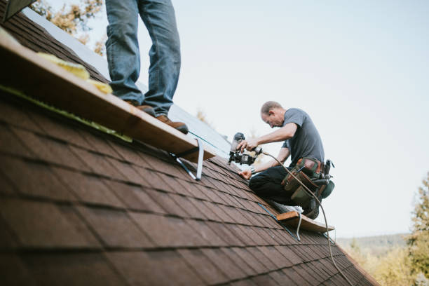 Best New Roof Installation  in South Monroe, MI