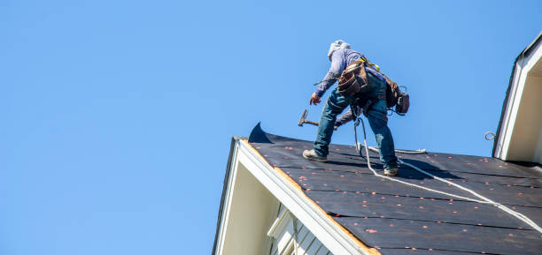 Best Roof Restoration Services  in South Monroe, MI